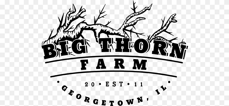 Big Thorn Farm Logo Mks Czarni Jelcz Laskowice, Gray Free Png