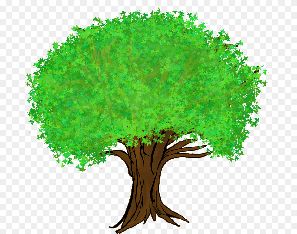 Big Tree Clipart, Plant, Vegetation, Green, Woodland Free Png