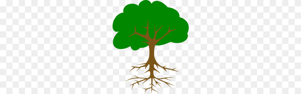 Big Tree Clipart, Plant, Root, Person Free Transparent Png