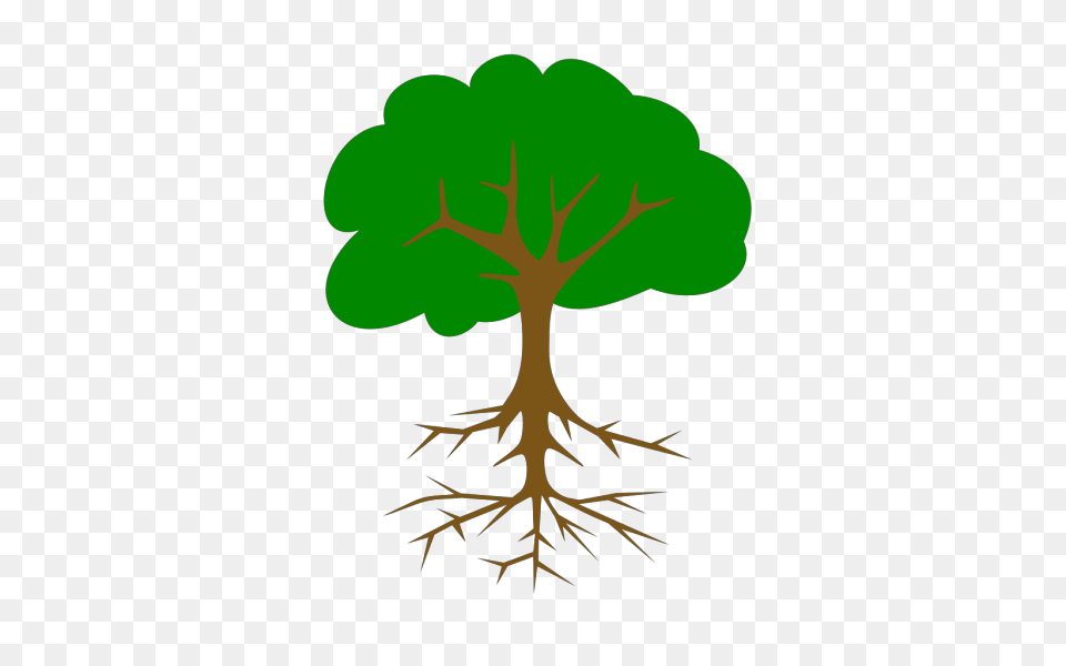 Big Tree Clipart Apple Tree With Roots, Plant, Leaf, Root, Green Free Png Download