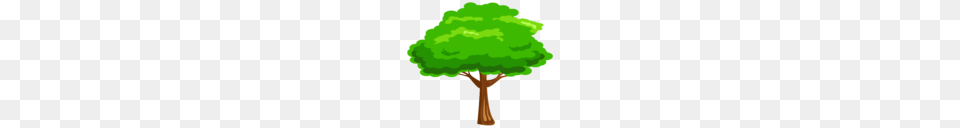 Big Tree Clipart Clip Art, Plant, Green, Vegetation, Sycamore Png Image
