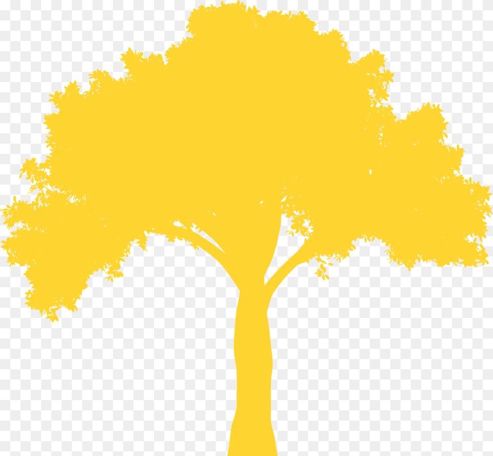 Big Tree Silhouette, Plant, Art, Outdoors Png Image