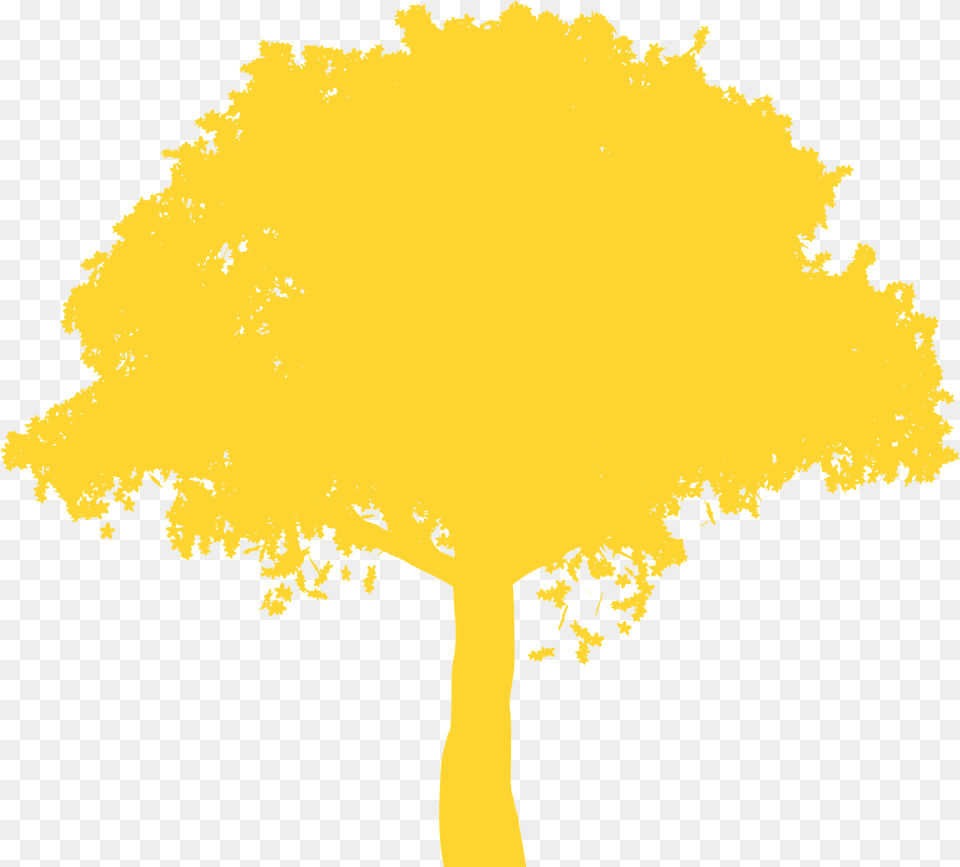 Big Tree Silhouette, Plant, Bonfire, Fire, Flame Png