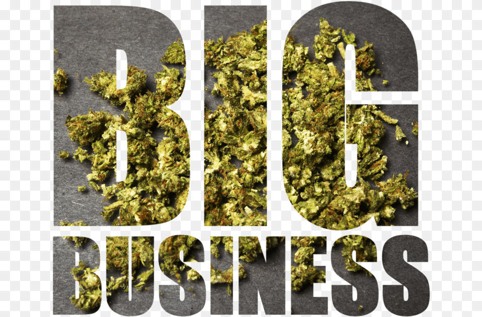 Bigbusiness Cannabis, Moss, Plant, Weed, Art Free Transparent Png