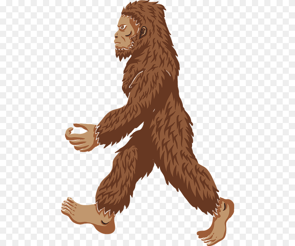 Bigfoot Clipart, Animal, Ape, Mammal, Wildlife Png