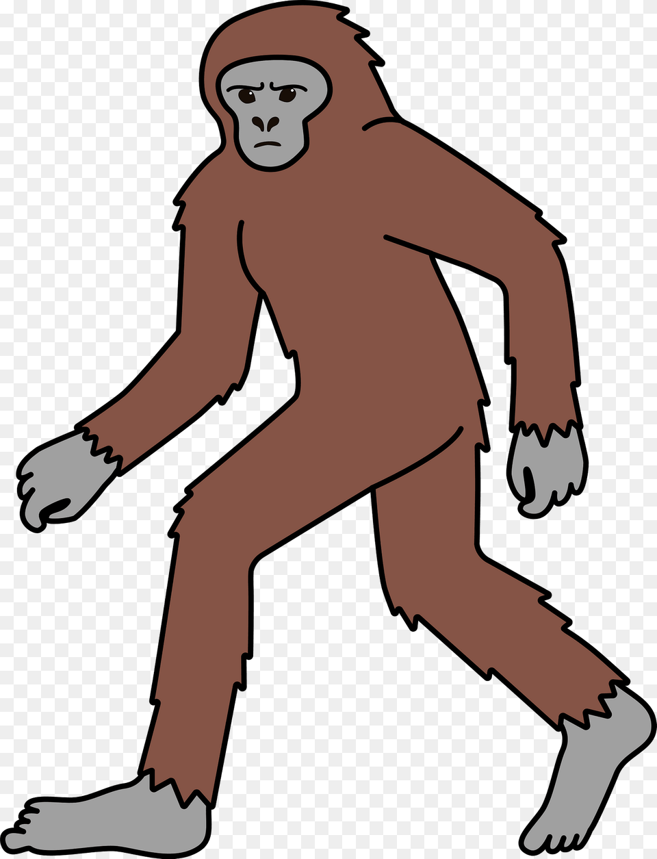 Bigfoot Clipart, Baby, Person, Animal, Ape Png