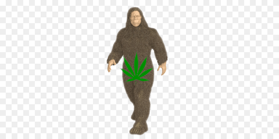 Bigfoot Modeling For Product Logo Canna Oils, Adult, Person, Woman, Female Free Png