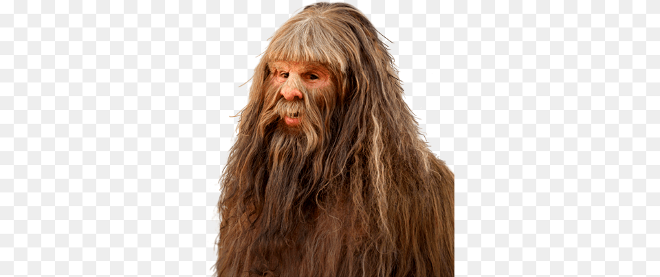 Bigfoot News Lunch Club Hyundai Canada Has A Chewbacca, Beard, Portrait, Face, Photography Free Png Download