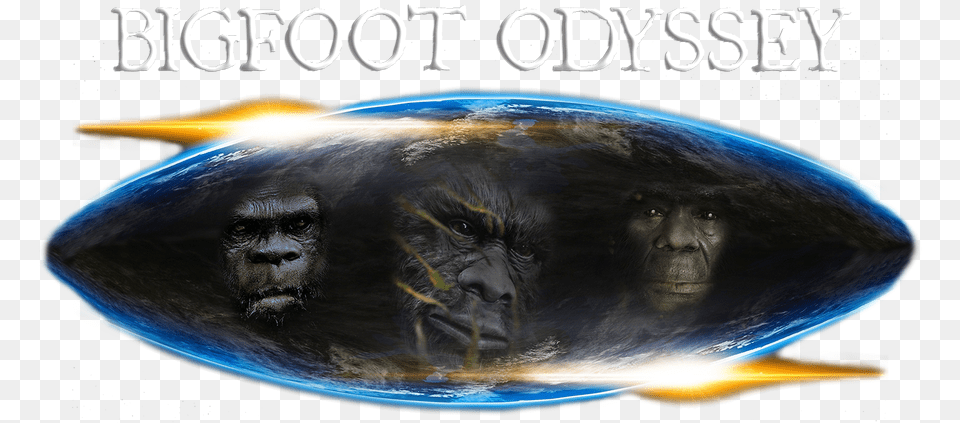 Bigfoot Odyssey Mountain Gorilla, Animal, Mammal, Monkey, Wildlife Png Image