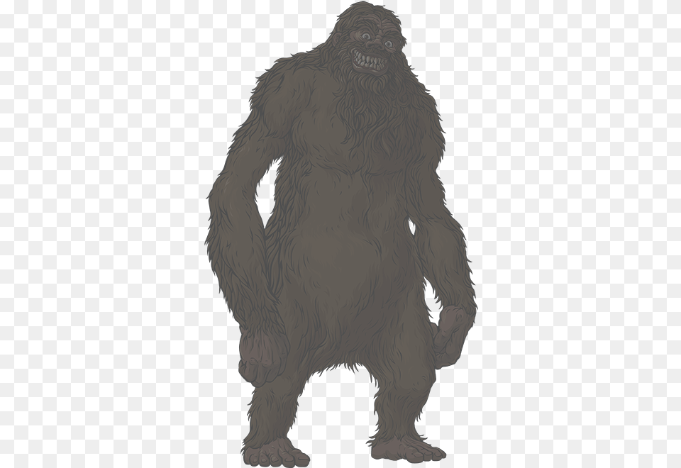 Bigfoot Transparent, Animal, Ape, Mammal, Wildlife Free Png