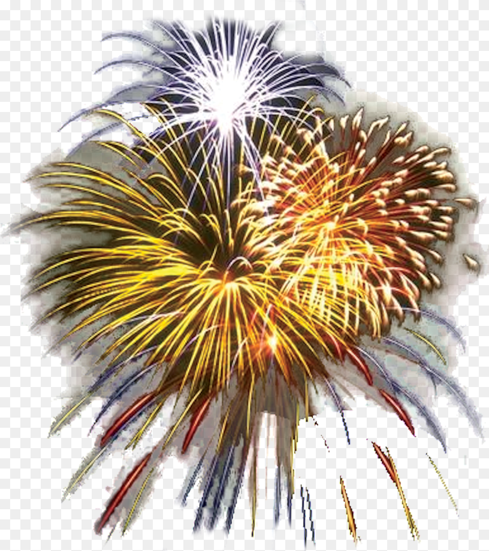 Biggest 4th Of July Celebration Imagens De Fogos De Artifcios, Fireworks, Plant Png Image
