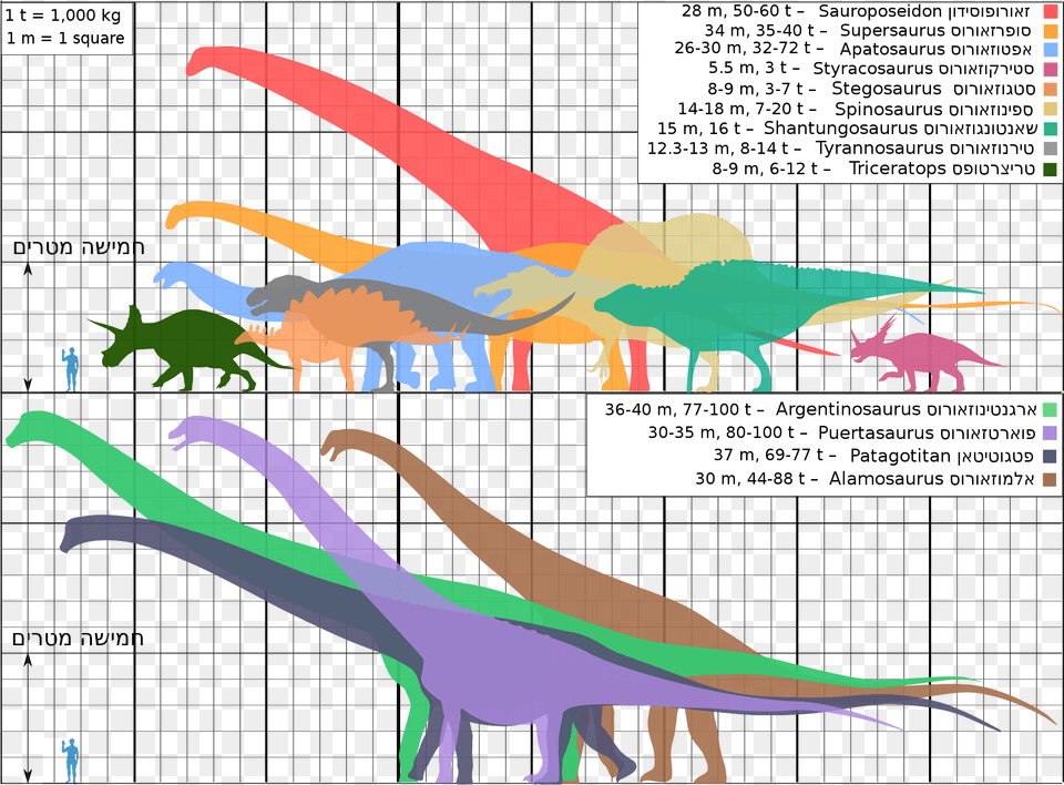 Biggest Dinosaurs Ver18 He Dinosaur, Animal, Reptile, Person, T-rex Png