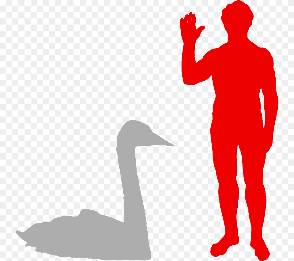 Biggest Owl Compared To Human, Adult, Male, Man, Person Png