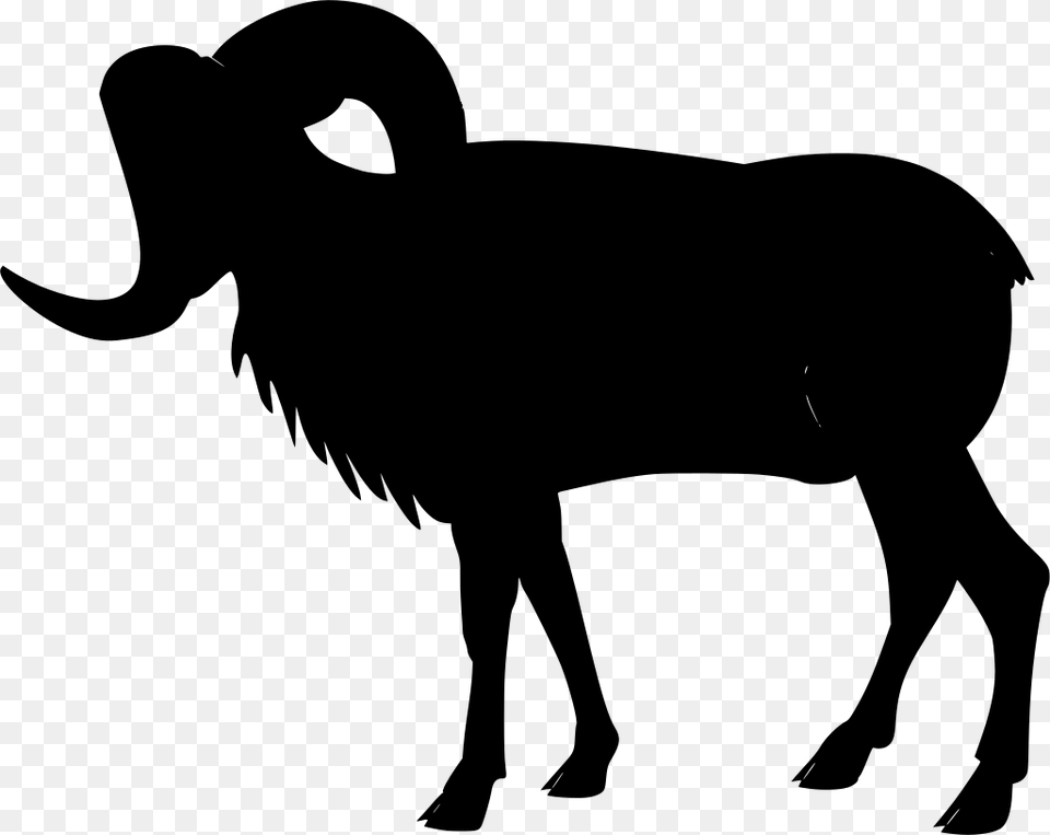 Bighorn, Gray Png