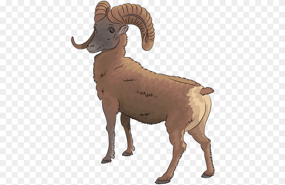Bighorn, Adult, Female, Person, Woman Free Png Download