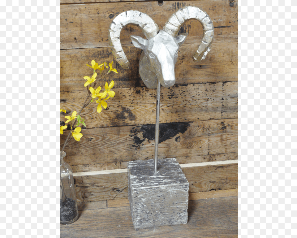 Bighorn, Wood, Flower, Flower Arrangement, Plant Free Png Download