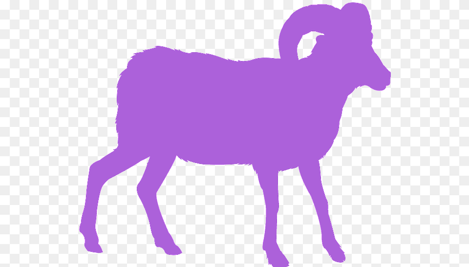 Bighorn, Livestock, Animal, Mammal, Goat Free Png