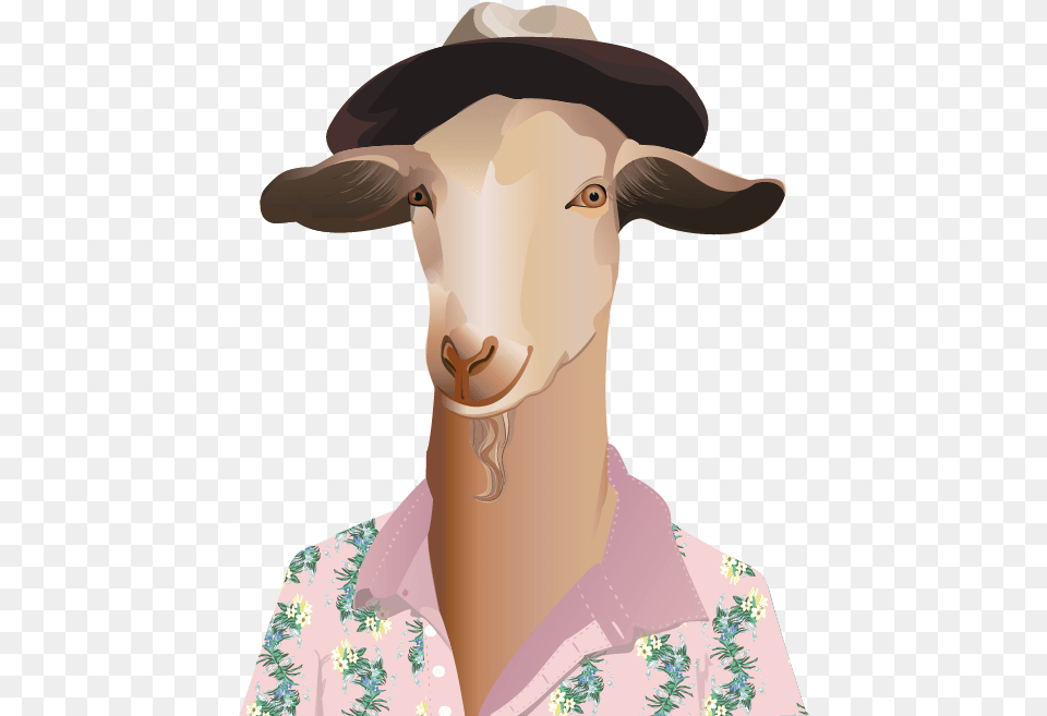 Bighorn, Adult, Person, Livestock, Woman Free Png