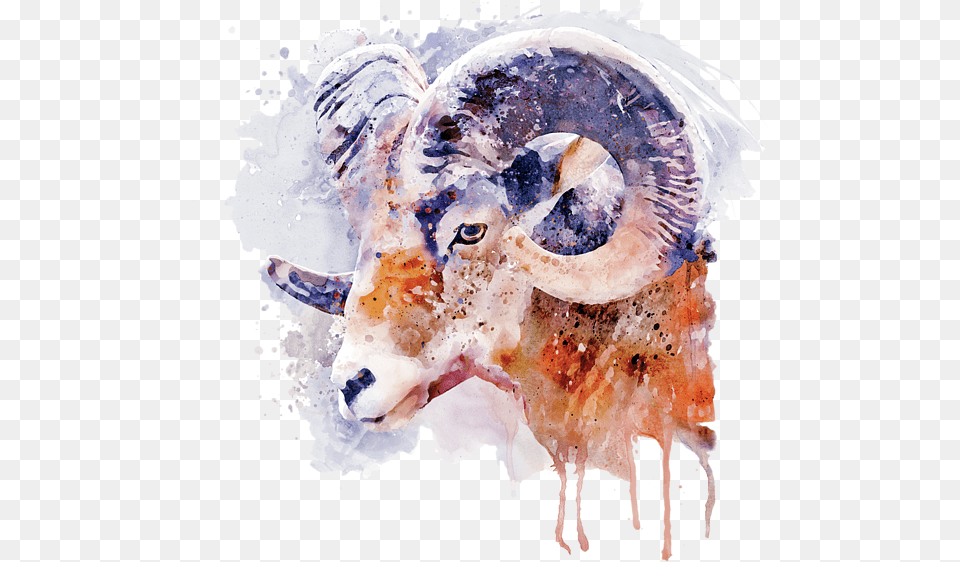 Bighorn Sheep Art, Livestock, Animal, Mammal Free Png