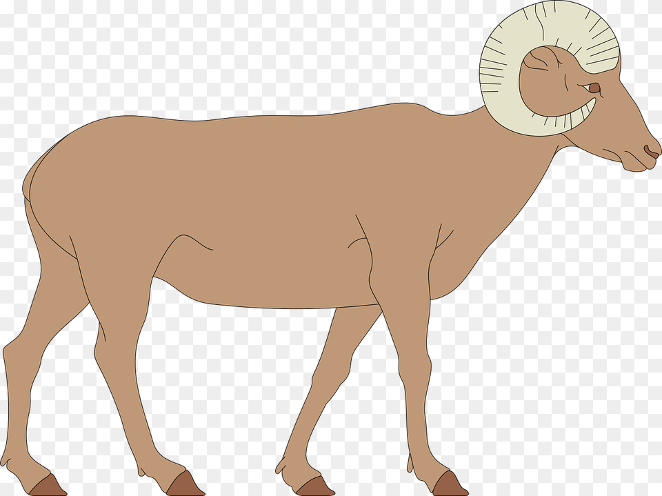 Bighorn Sheep Clipart, Adult, Male, Man, Person Free Png Download
