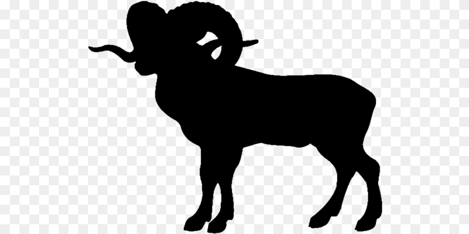 Bighorn Sheep Mountain Goat Ram Silhouette, Gray Free Png