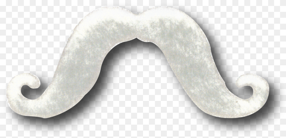 Bigote, Face, Head, Mustache, Person Free Png