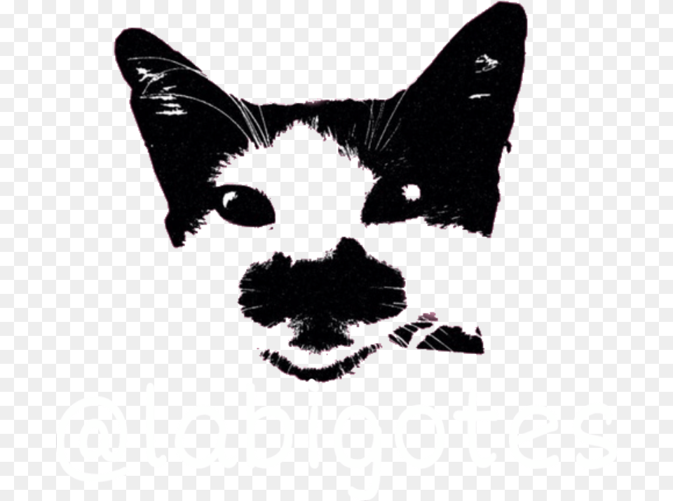 Bigotes Freetoedit Sphynx, Stencil, Animal, Cat, Mammal Free Png Download