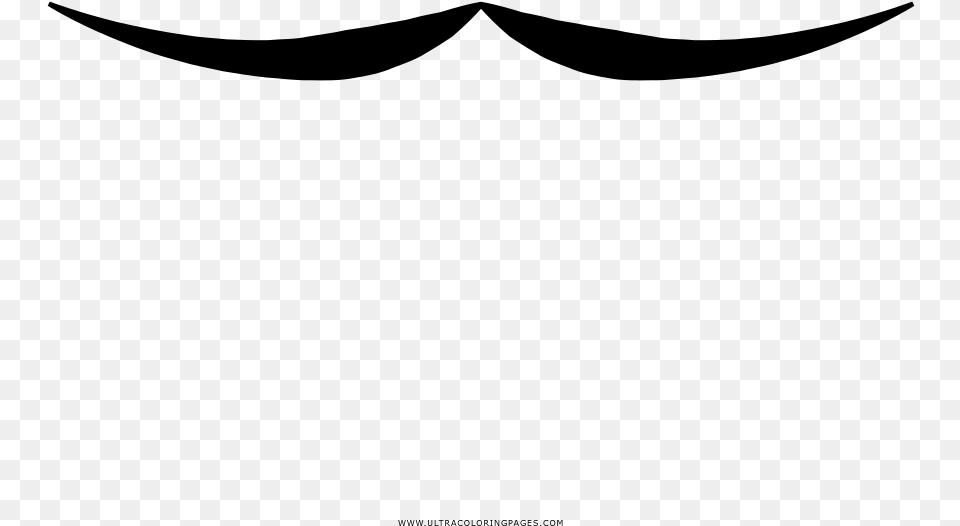 Bigotes Pgina Para Colorear, Gray Png Image