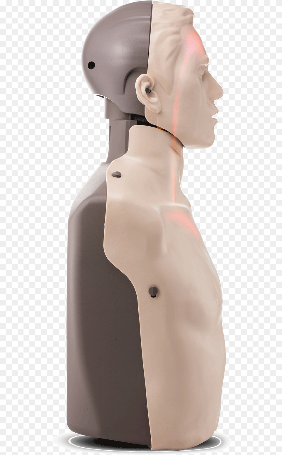 Bigred Cpr Manikin With Led Light Cpr Feedback Figurine, Body Part, Person, Torso, Adult Png Image