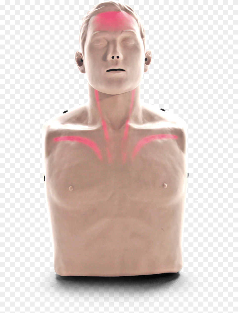 Bigred Lightsaving Manikin Big Red American Red Cross, Body Part, Person, Torso, Adult Free Png