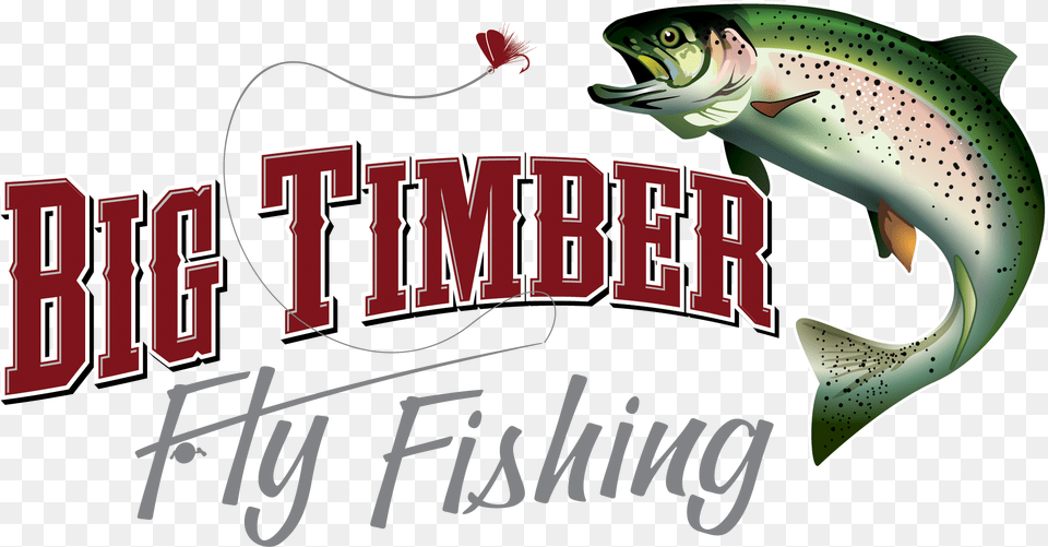 Bigtimberflyfishing 50 Fly Fishing, Animal, Fish, Sea Life, Trout Png