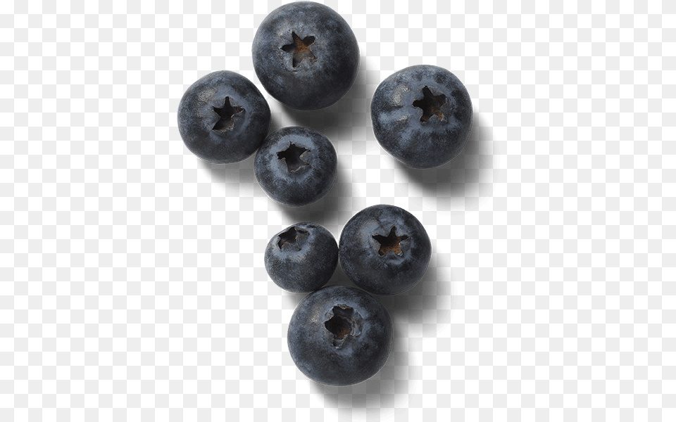 Bilberry, Produce, Berry, Blueberry, Food Free Png Download