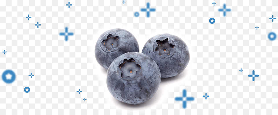 Bilberry, Berry, Blueberry, Food, Fruit Free Png Download
