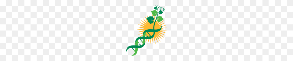 Bill Gates Archives, Art, Graphics, Green, Flower Png Image