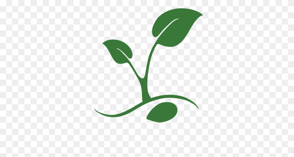 Bills Aimed, Leaf, Plant, Herbal, Herbs Png