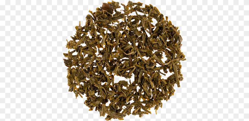 Biluochun, Plant, Seaweed Free Png