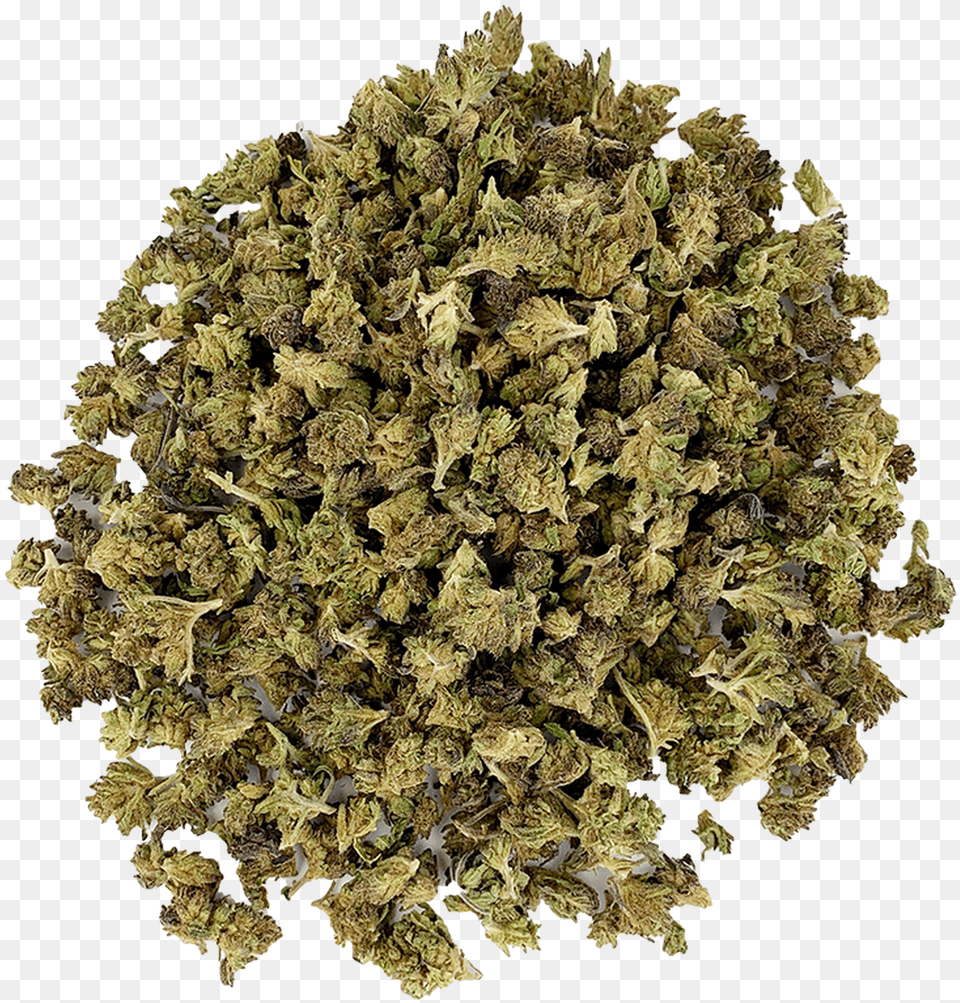 Biluochun Green Tea, Herbal, Herbs, Moss, Plant Free Png