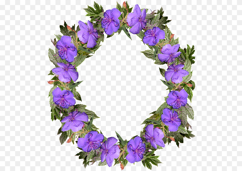 Bingkai Daun Hijau Melingkar, Flower, Geranium, Plant, Purple Free Transparent Png