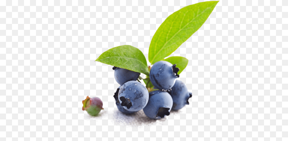 Bio Blueberry Holika Holika Blueberry Juicy Mask Sheet, Berry, Food, Fruit, Plant Free Png