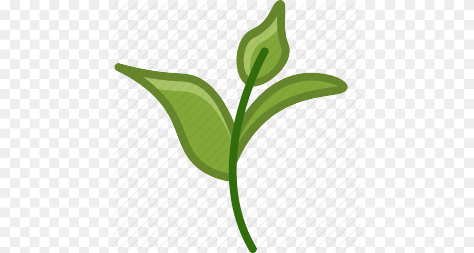Bio Ecology Leaves Nature Tea Tearoom Yumminky Icon, Bud, Flower, Leaf, Plant Png Image
