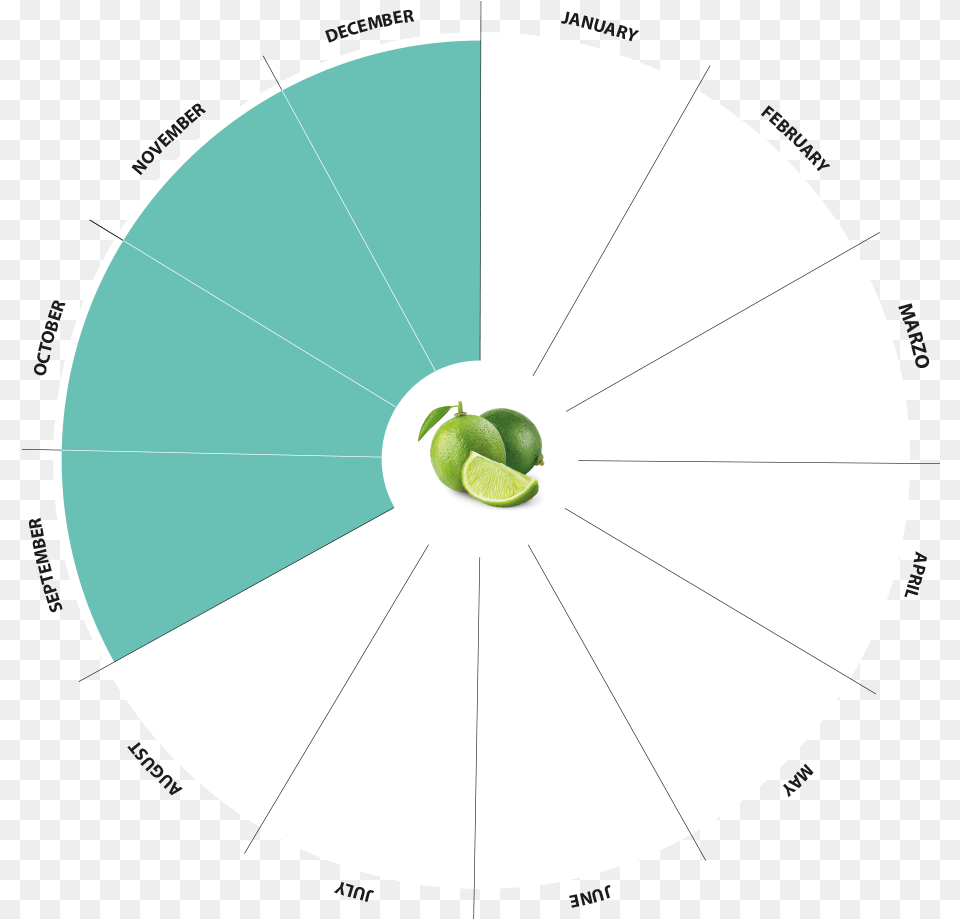 Bio Lime Vega Verde Circle, Disk, Food, Produce, Sphere Free Png