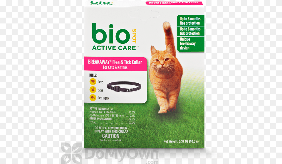 Bio Spot, Advertisement, Poster, Animal, Cat Free Png Download