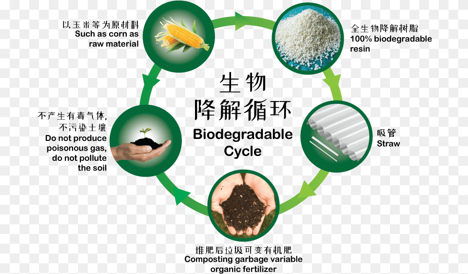Biodegradable Cycle, Accessories, Bracelet, Jewelry, Food Png Image