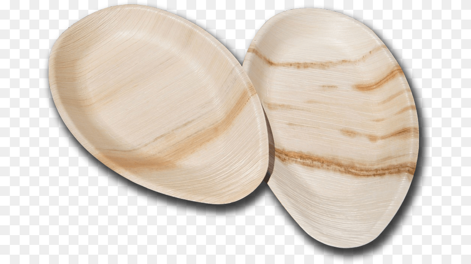 Biodegradable Oval Plates Macoma, Animal, Clam, Food, Invertebrate Free Png Download