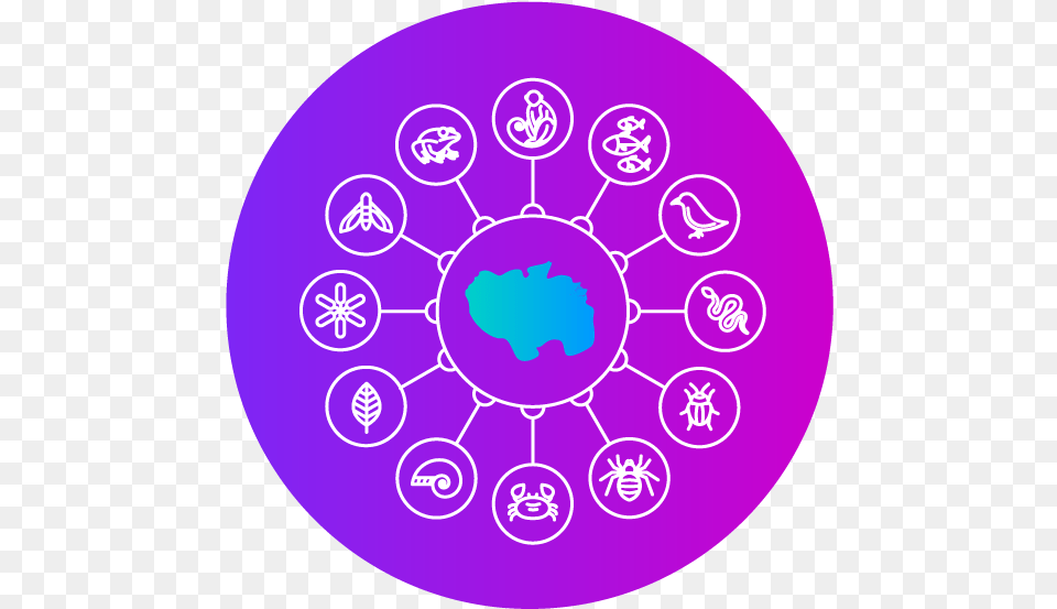 Biodiversity Circle, Purple, Disk, Pattern, Sphere Png Image