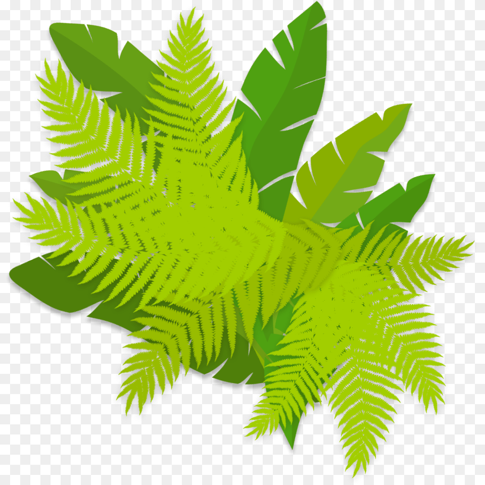 Biodiversity Vertical, Fern, Leaf, Plant Free Transparent Png