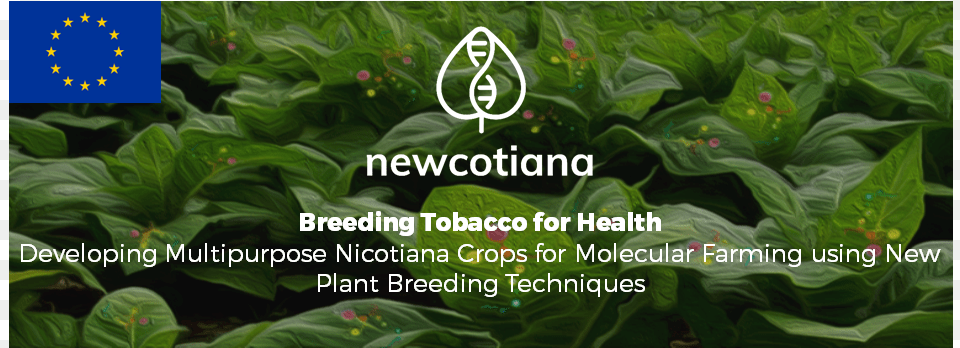 Biofaction Will Contribute To The Project By Taking Tobacco, Leaf, Plant, Vegetation, Flower Free Transparent Png