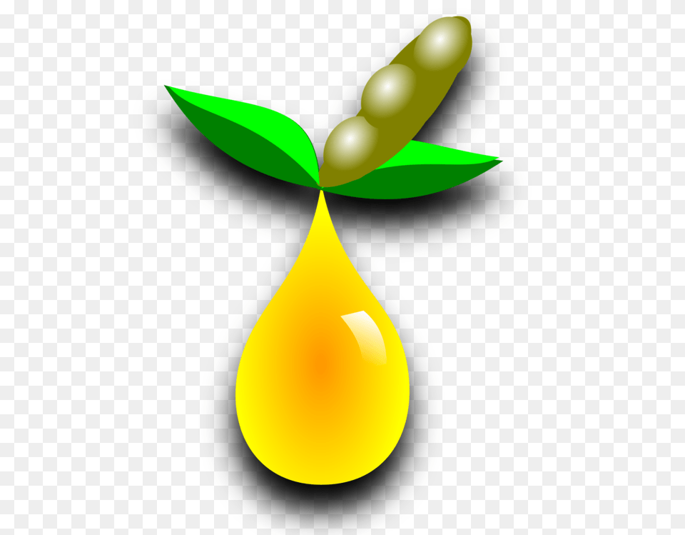 Biofuel Biodiesel Biomass Download Energy Development Droplet, Produce, Food, Fruit Free Transparent Png