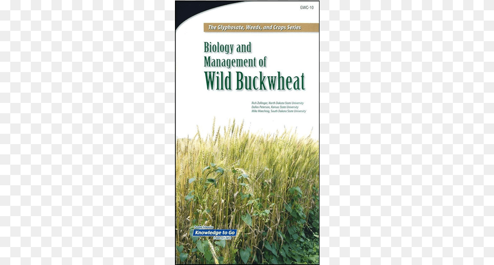 Biology And Management Of Wild Buckwheat The Glyphosate Black Bindweed, Nature, Agriculture, Countryside, Field Free Transparent Png