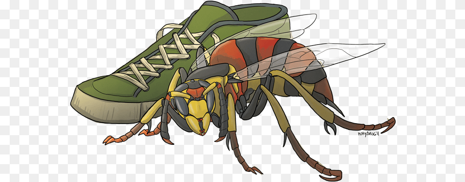 Biology Apraxis Wasp, Animal, Bee, Insect, Invertebrate Free Transparent Png